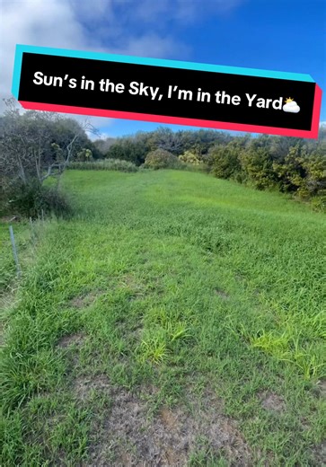 Satisfying Lawn Care Time-Lapse: A Day in the Yard