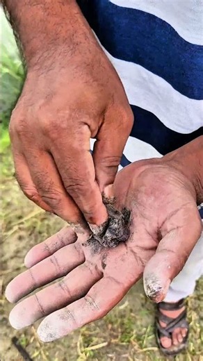 🪣 The Guy Shows SURVIVAL Skills: I Fixed a Broken Bucket While Living in the Wild 💦 #outdoors