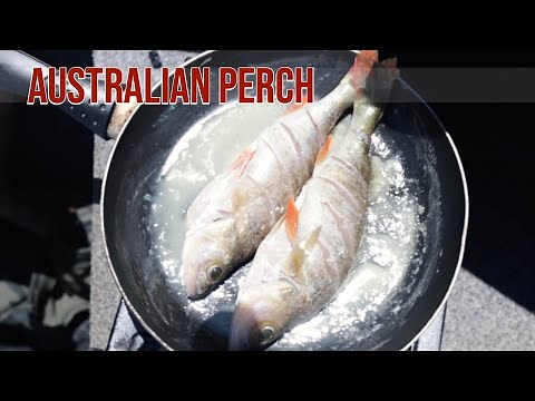 Redfin Perch Catch & Cook Blowering Dam Australia