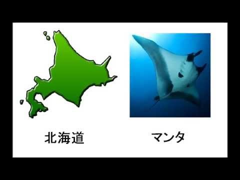 都道府県の形が何に見えるか