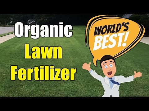 Best Organic Lawn Fertilizer