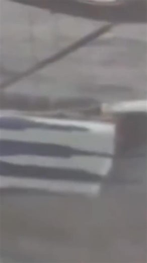 537K views · 4K reactions | Rewatch this America's Cup iconic moment back in San Diego, 1995. | America's Cup | Facebook