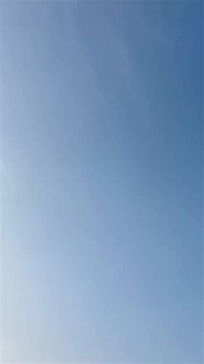 Trendy Pant Styles You Need to Know