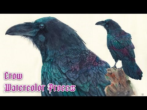 Crow Painting in Watercolor (Real time on Patreon 7hrs)