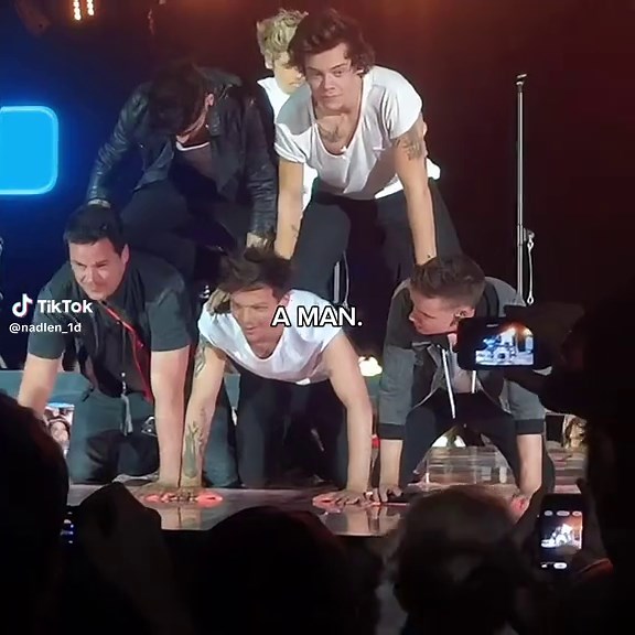 Discovering the Legacy of One Direction's Members