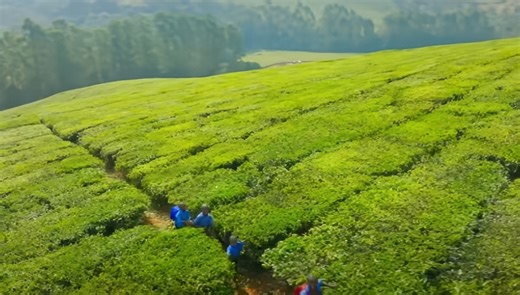 Jeremy Clarkson ‘The Grand Tour’ Zimbabwe – ‘The Best For Last’