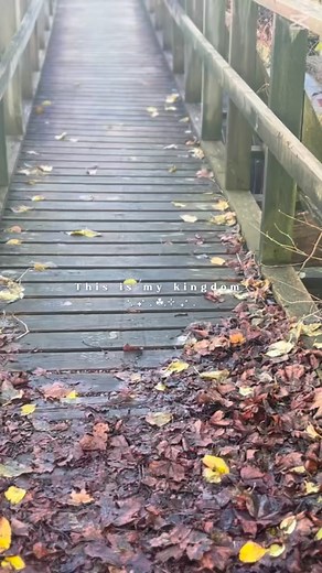 Frölichgården from the water. Karmansbo rests — quiet, proud, worn. Every wall hides a story, every leaf holds a breath of time. Autumn reveals it all — the beauty, the cracks, the truth. We are our shadows and our light | Charlotte Hartmann
