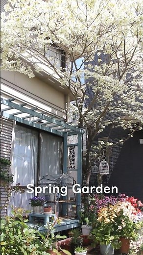 花々が彩る春の庭！春のガーデンツアー #shorts #春の庭 #ガーデニング