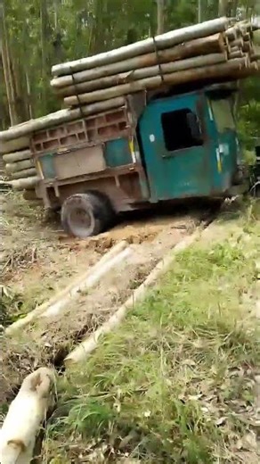 Loaded Timber Tractor Climbing Tough Jungle Road | Extreme Off-Road Transport