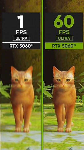 Stray vs RTX 5060Ti – 1 FPS vs 60 FPS Performance Test!