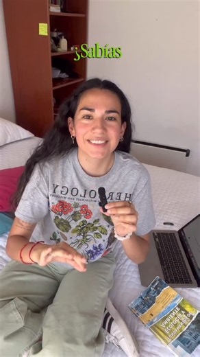 agus ✨️ on Instagram: "¿Cuál es el árbol más grande del mundo? 🌳 Las secuoyas gigantes crecen en el California, en los Parques Nacionales Sequoia y Kings Canyon. Pueden medir hasta 90 metros de altura, más que el Obelisco de Buenos Aires. #arbol"