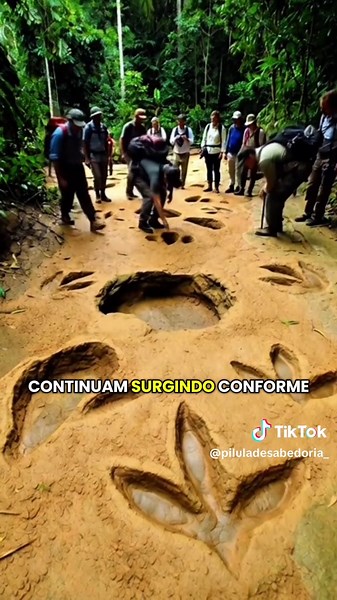 Existiram dinossauros na Amazônia? Pegadas, fósseis e pistas pré-históricas revelam segredos gigantes escondidos na floresta. #curiosidades #amazonia #dinossauro