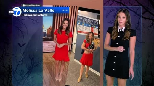 Cheryl Scott on Instagram: "Becoming a Halloween costume wasn’t in my 7-day forecast 😂 but 100% honored, 100% flattered! @melissalavallerealestate winning 1st place today as “me” at her company’s Halloween party. She Crushed it!, even down to the ABC security pup! 🙇🏻‍♀️🥰."