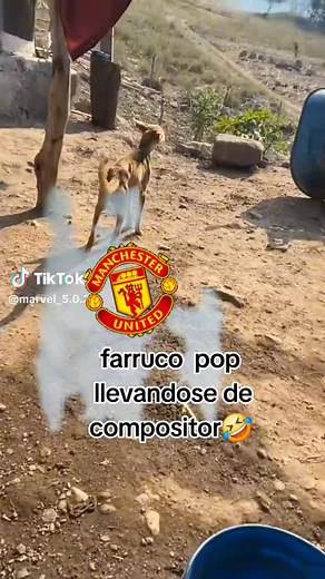 Allan king (@allankingu)’s videos with original sound - Allan king