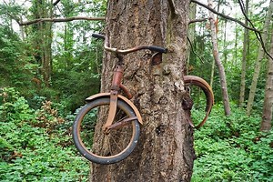 The real story behind...A boy left his bike chained to a tree when he went away to war in 1914 | The Vintage News