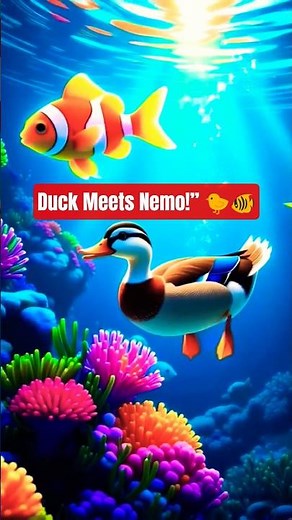 When a Duck Meets Nemo… The Cutest Friendship Ever 🐤🐠✨