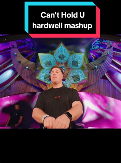 Macklemore & Ryan Lewis - Can't Hold Us (Hardwell Remix Mashup) sub español #Mysteryland #Hardwell #EDM