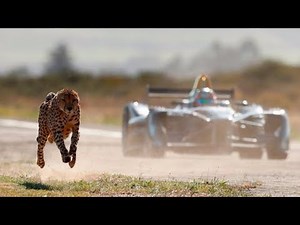 Gepard VS Formel E