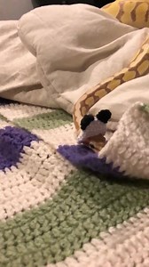 Credit to: https://instagram.com/moxyclem How to put a hat on a snake: | Reptiles Wearing Clothes