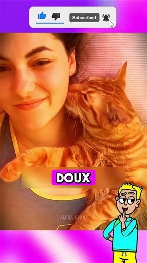 Voilà pourquoi le léchage du chat ne fait pas mal
