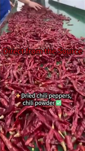 How Is Industrial-Grade Chili Powder Kept Batch-to-Batch Consistent?#ChiliPowder#DriedChili