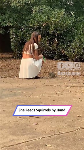 Woman Feeds Squirrels by Hand—Adorable Trust-Building Moment!|| Heartsome 💖