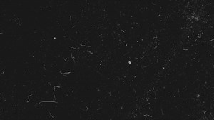 Realistic dust particles on dark background. Abstract animation. White and glow dust particle abstract on black background