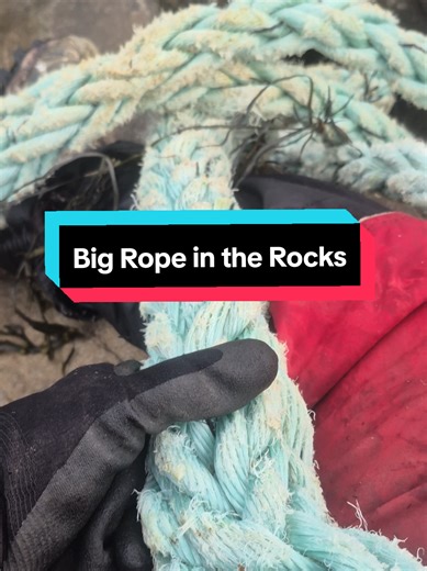 I found a big mooring rope tangled in the rocks. There was lots more there so we will need to go back! Wonder what I should do with it?! #scotianshores