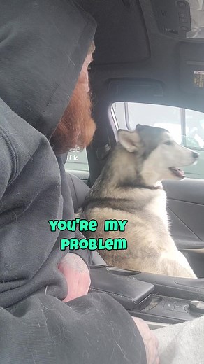 ARGUING with a CRY BABY HUSKY😂 #talkinghusky#talkingtomydog#stopbeingmean#sassydog#huskysass#talkinghuskys#dogincar#huskytalking#crybabydog#babydog
