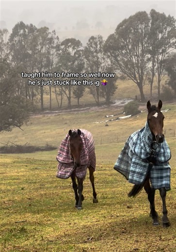 Stormy’s Training Session for Upcoming Show