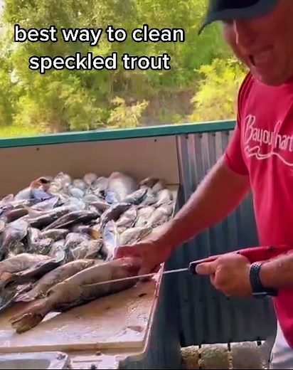 Best Way to Clean Speckled Trout - Easy Fishing Hack