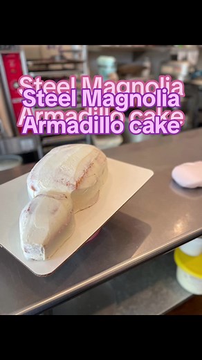 Steel Magnolia Armadillo cake for a fun bridal shower 🧁🎂 🍰 #armadillo #cakedecorating #bridal #bridalshower #bridalshowercake #wedding #cakes