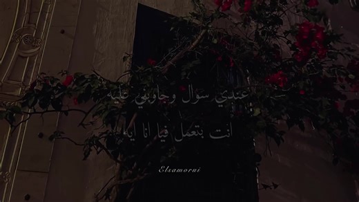 سؤال وجواب مع عمرو دياب: ماذا تعني لي؟