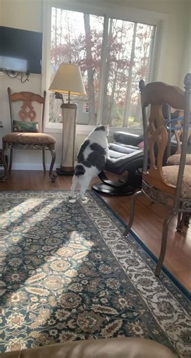 Inspiring Motivation from Ben Harrison's Journey