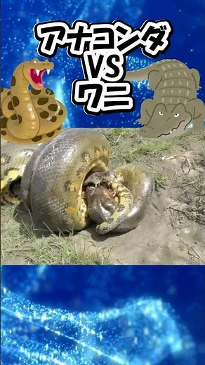 アナコンダvsワニ #shorts #戦い #ワニ #ヘビ