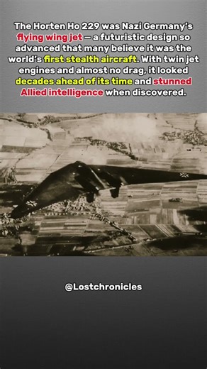 Germany’s First ‘Stealth Jet’ — Horten Ho 229 #WW2Aircraft #CrazyWarTech #HistoryFacts