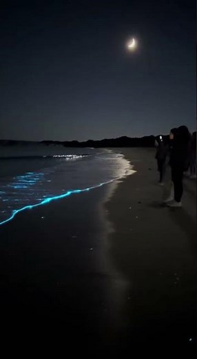 Mesmerizing Bioluminescent Waves Light Up the Night 🌊✨ #shorts