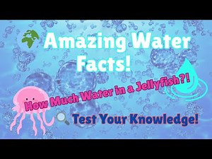 Fun Facts Challenge: Amazing Water Facts!