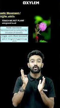 Plant Movements !! | Xylem Class 9
