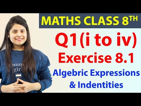 Q 1(i) to (iv) - Ex 8.1 - Algebric Expressions & Indentities - Maths Class 8th - Chapter 8, CBSE