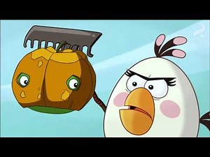 Angry Birds Toons - Green Pig Soup