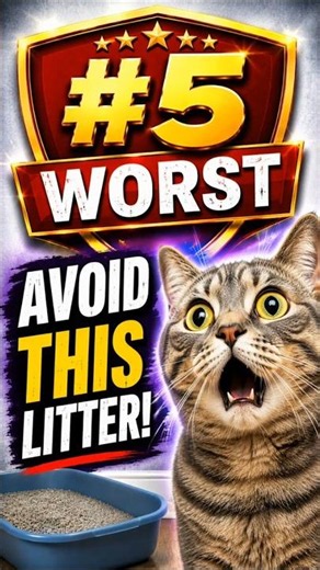🚨 #5 Worst Cat Litter: Why Cats Hate Cat's Pride Scented Clay 😾