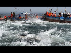 Amazing Big Net Fishing Tuna Video - How Fishermen Big Nets to Catch Hundreds tons of Tuna on Boat