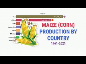 The Corn Conundrum: A Century of Global Maize Production