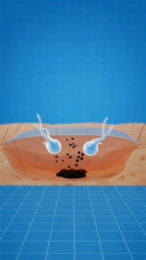 This Is Why Tattoos Are Permanent 🧬