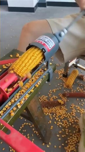 Hand Crank Corn Thresher in Action 🌽