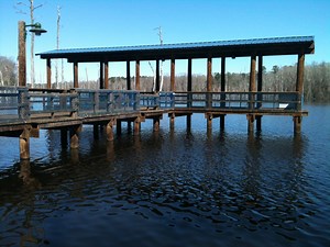 Piling – Cobb Lumber Company: Poles, Pilings, Timbers, Lumber, Posts, & Erosion Control Products