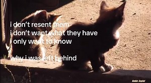 Exploring Yearning and Longing in Life's Journey