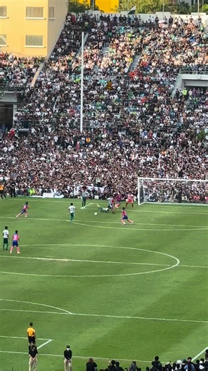 381K views · 8.7K reactions | นาทีน้อง เตวรากร ถูกสกัด คนเก่งอ่ะเน๊อะ...