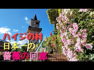 ハイジの村 日本一の薔薇の回廊 山梨県北杜市明野町(ほくとしあけのちょう) 2022年5月31日撮影